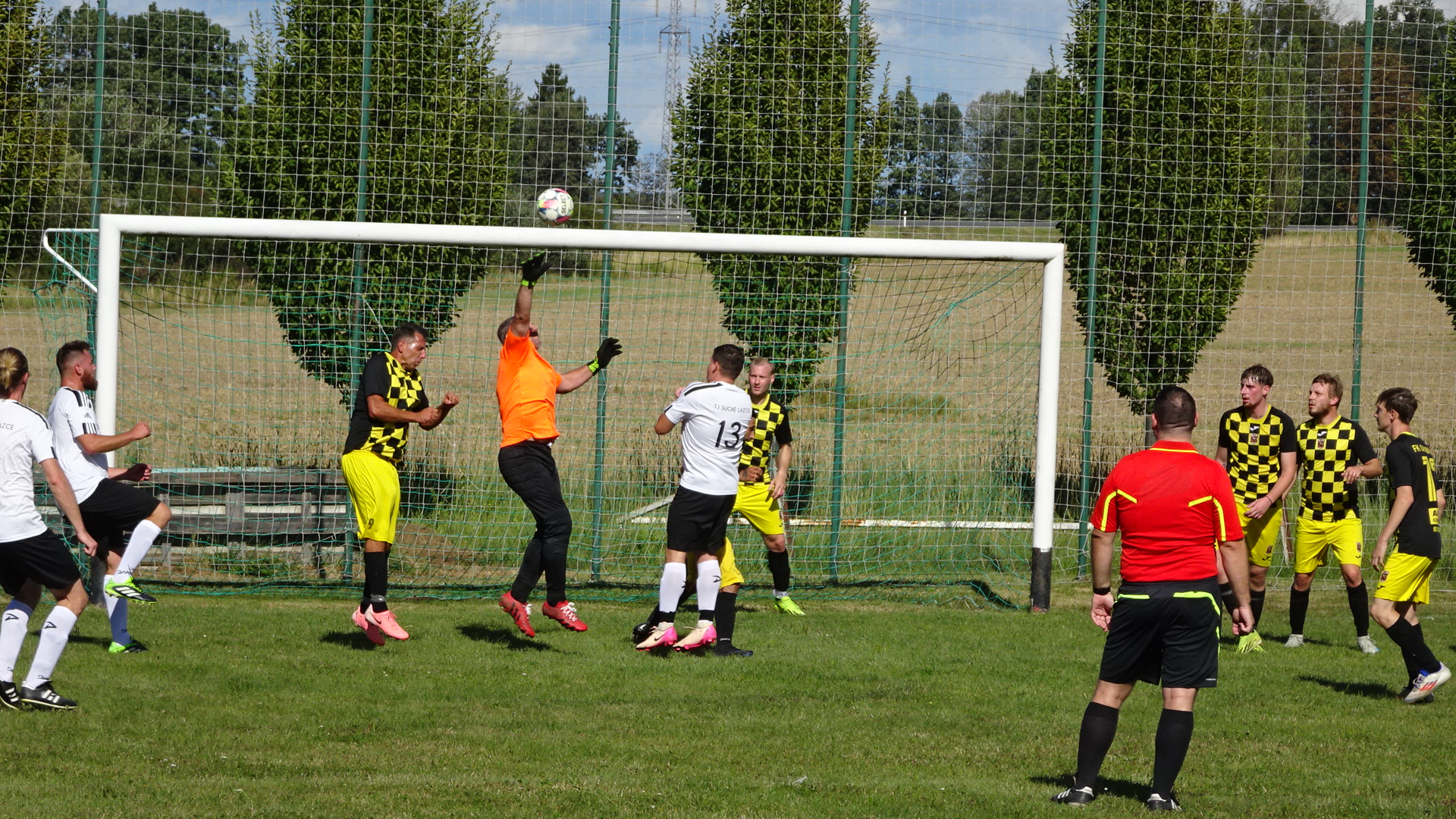 Opabrum – Suche Lazce